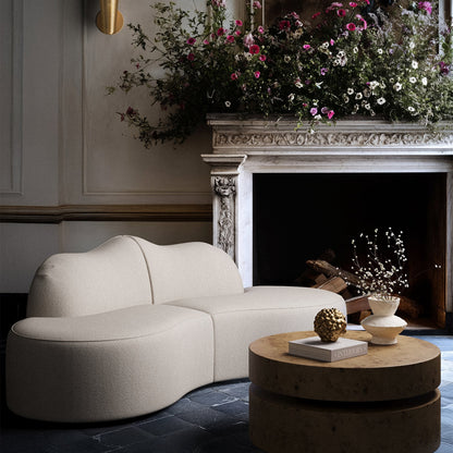 Serpentine 2-Piece Sectional